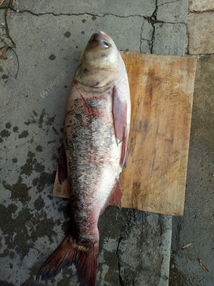 春天調(diào)養(yǎng)情志應(yīng)注意什么？早春