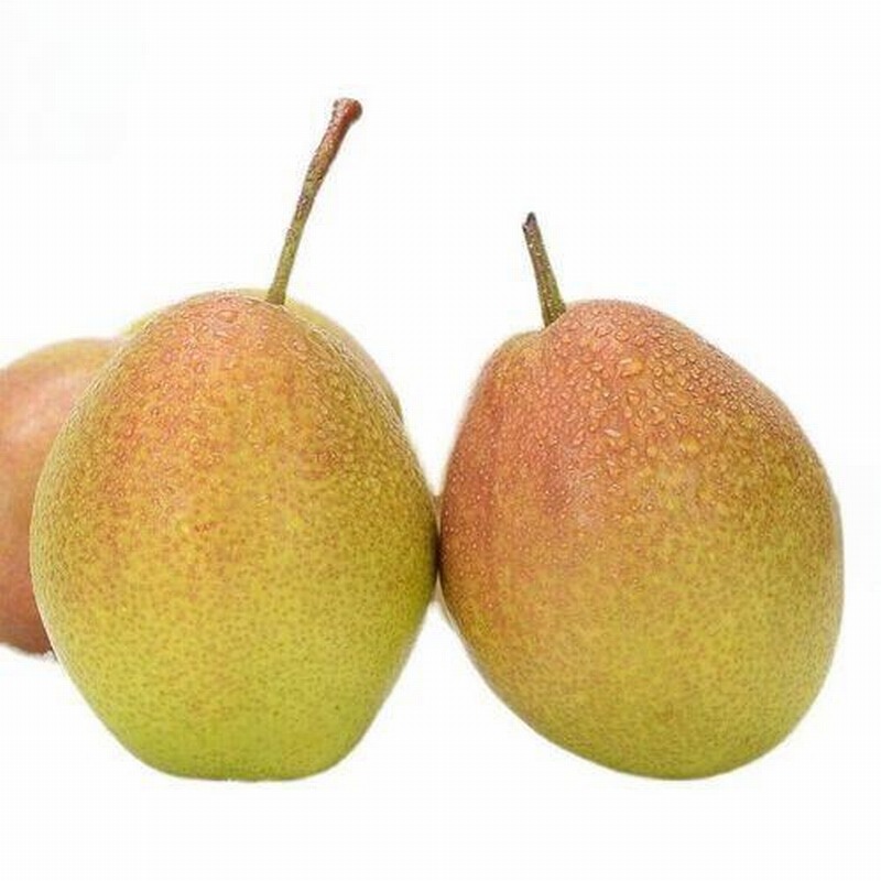 初春時(shí)節(jié)如何減衣不易感冒?早春