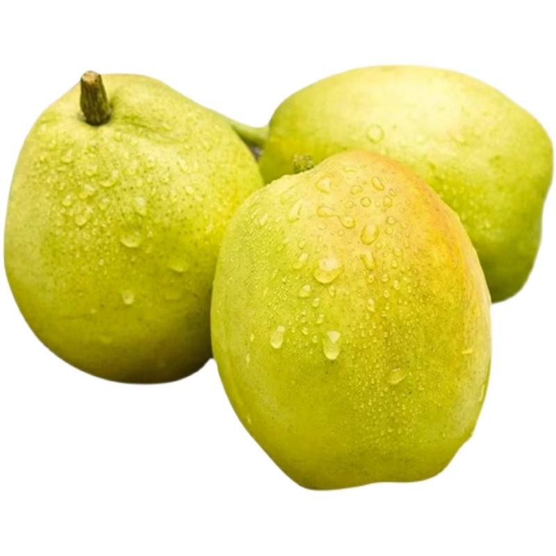 春季飲食應(yīng)以清淡為主 養(yǎng)生三部曲早春