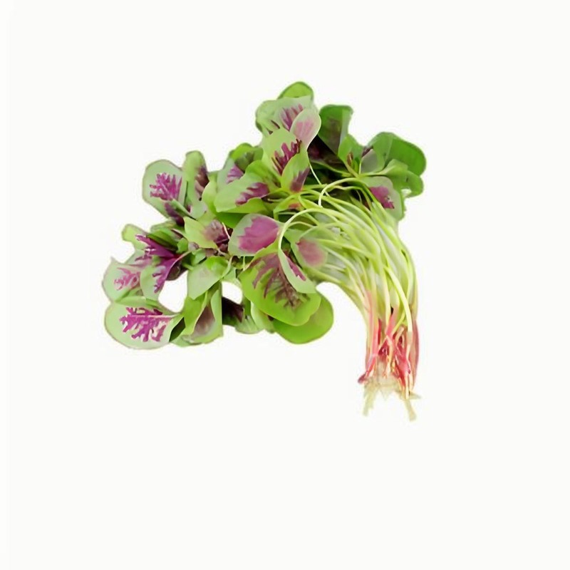 春分的來歷，春分的習(xí)俗有哪些，春分的節(jié)氣特征