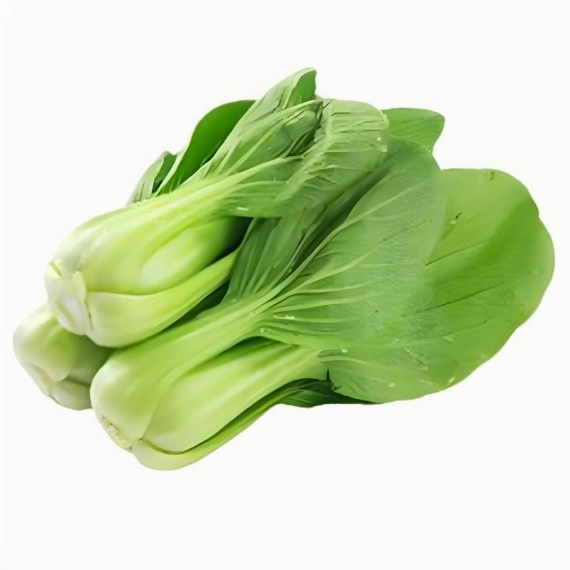 春吃韭菜好處多 挑選清洗要正確早春