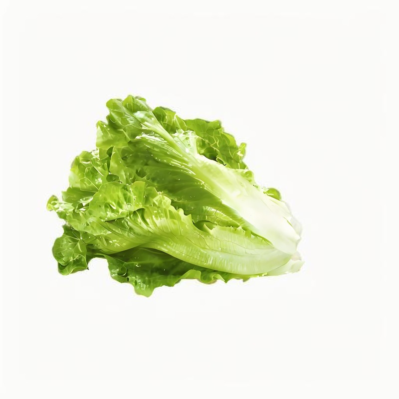 春吃韭菜9大好處8大禁忌也需警慎