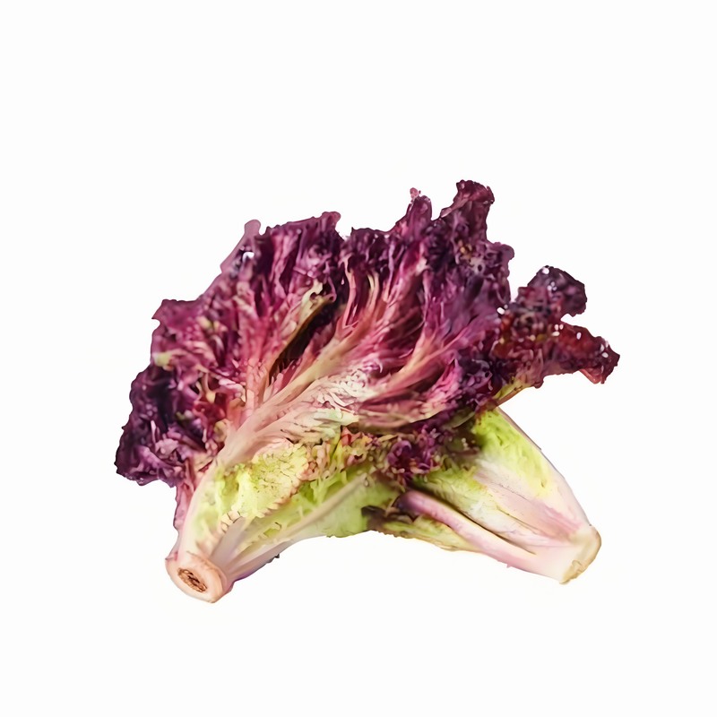 蔬菜配送價(jià)格,食材配送,食堂配送