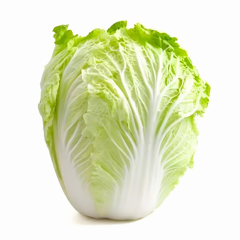 春分時節(jié)巧養(yǎng)生體質五行先分清